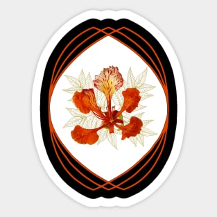 Flamboyant Flower - tropical Tree - Africa Sticker